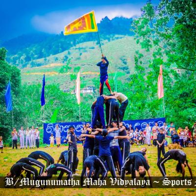 90166311 139629880901007 3222466421195800576 N